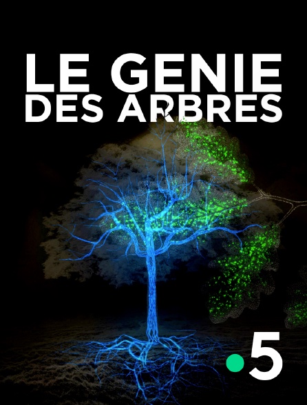 Деревья: гении мира природы (2020)
