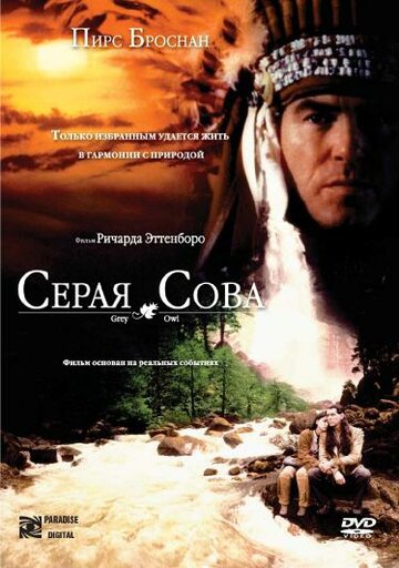 Серая сова (1998)