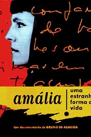 Амалия – такая вот странная жизнь (1995)